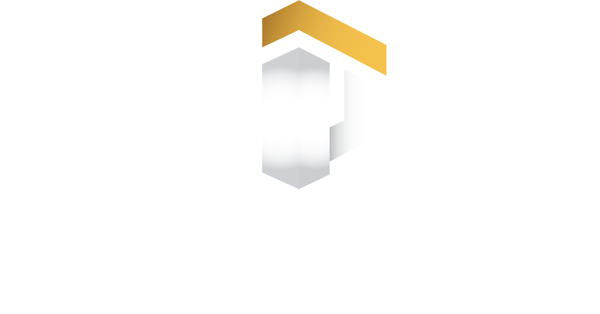 Paragon Infrastructure Development Ltd. logo